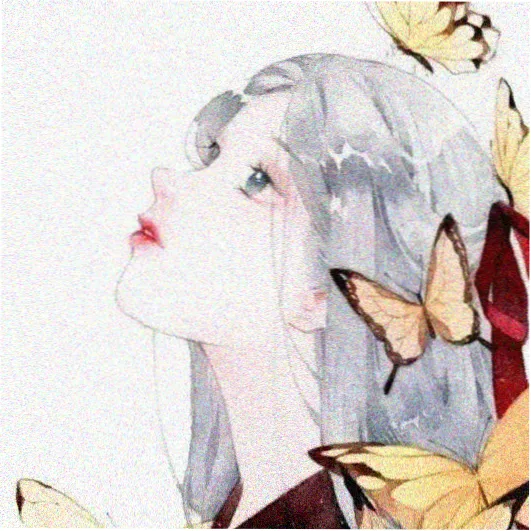 留言读者吴女士的头像